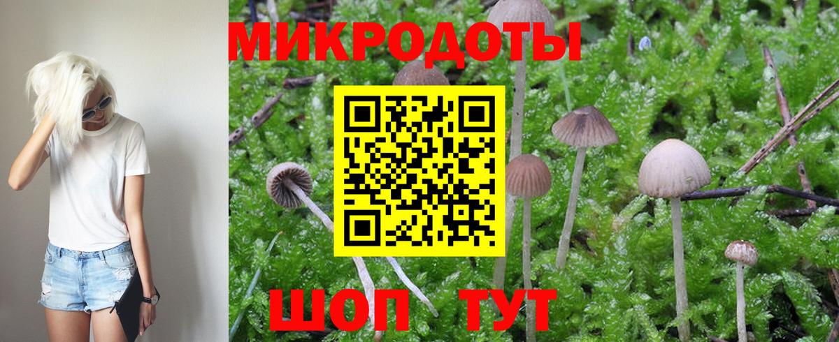 Галлюциногенные грибы Psilocybe  Вход с VPN  Вязьма 